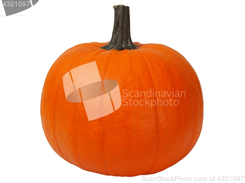 Image of Isolated pumpkin