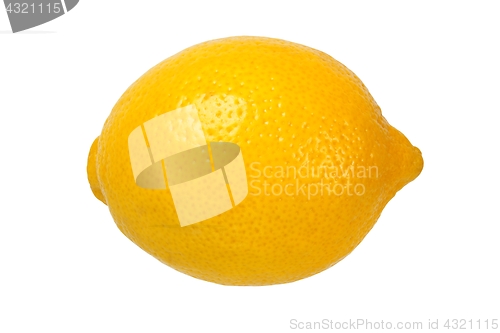 Image of Lemon on white