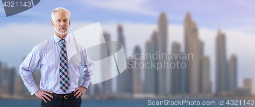 Image of Senior businessman in front of the big city