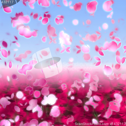 Image of Cherry blossoms