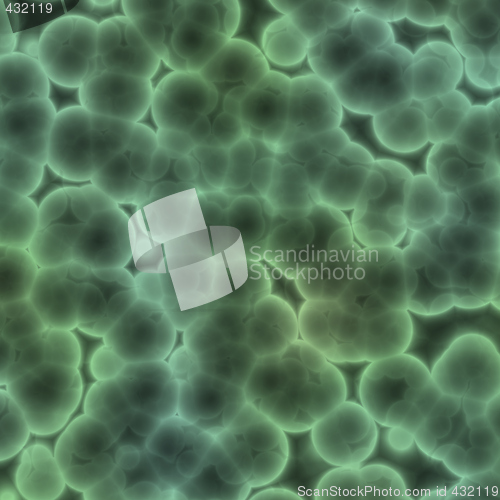 Image of Bacterial cells