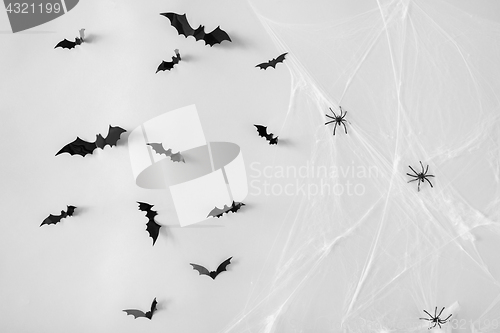 Image of halloween decoration of bats and spiders on web