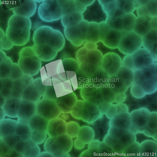 Image of Bacterial cells