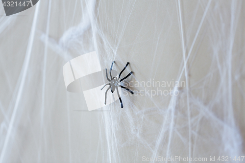 Image of halloween decoration of black toy spider on cobweb