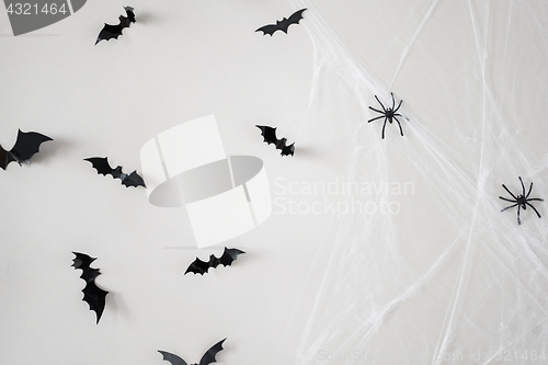 Image of halloween decoration of bats and spiders on web