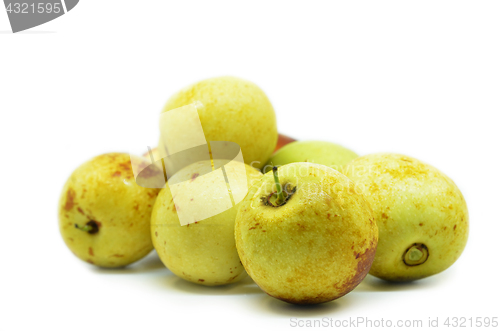 Image of Ziziphus jujube Chinese date