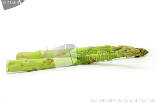 Image of Delicious isolated asparagus