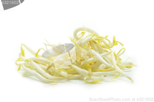 Image of Pile of bean sprouts 