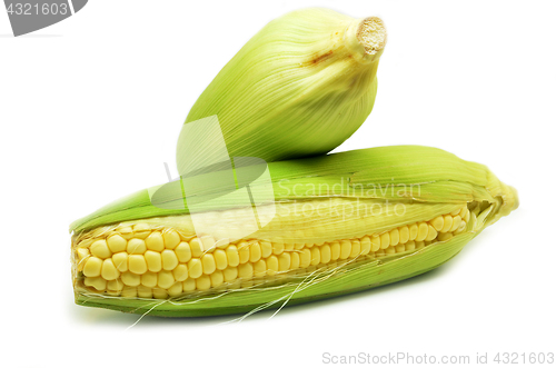 Image of Grains of ripe corn photo of maize close-up