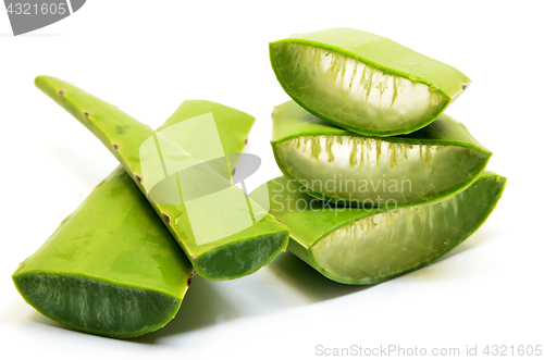 Image of Aloe vera fresh leaf isolated