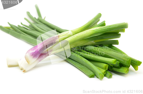 Image of Fresh spring onions