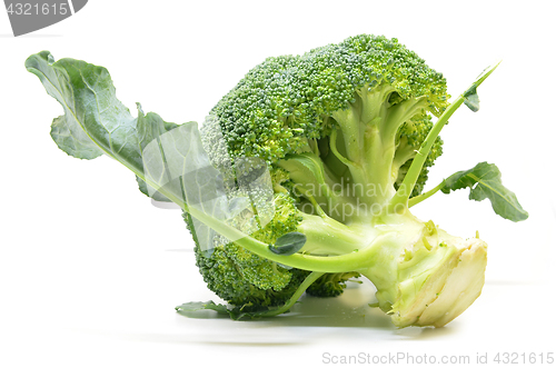 Image of Fresh broccoli isolated on white background