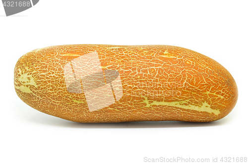 Image of Chinese yellow cucumber