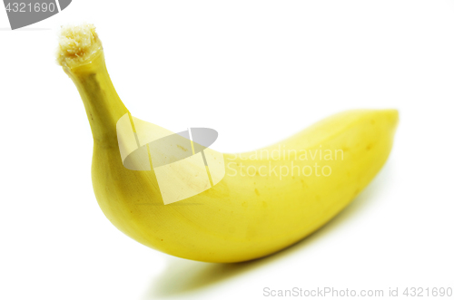 Image of Yellow bananas isolated 