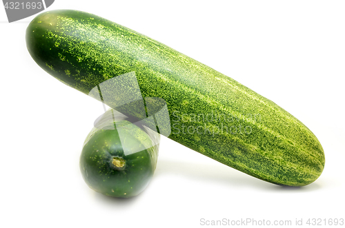 Image of Fresh green cucumber