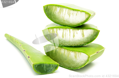 Image of Aloe vera fresh leaf isolated