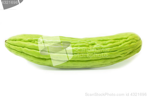 Image of Bitter gourd isolated 