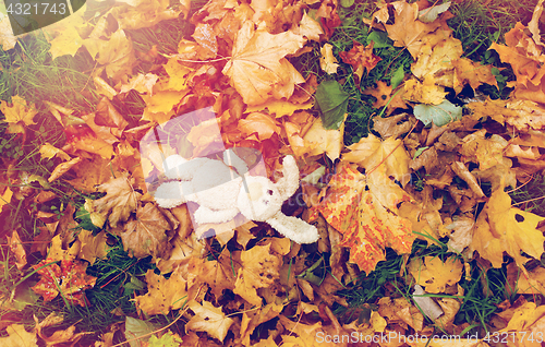 Image of toy rabbit in fallen autumn leaves