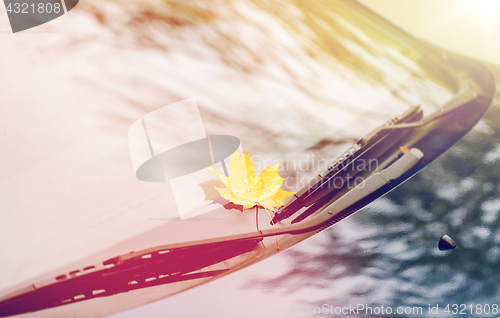 Image of close up of car wipers with autumn maple leaf