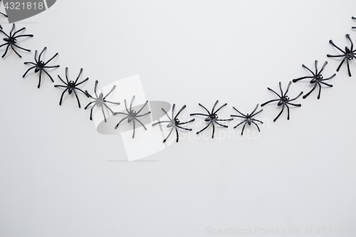 Image of black toy spiders chain over white background