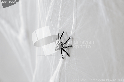 Image of halloween decoration of black toy spider on cobweb