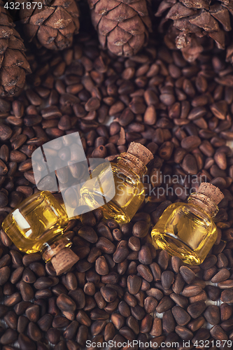 Image of Oil of cedar nuts