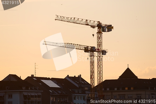 Image of Tall Construction Cranes