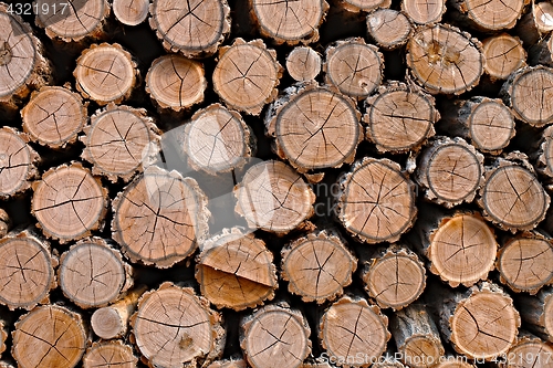 Image of Log wood pile