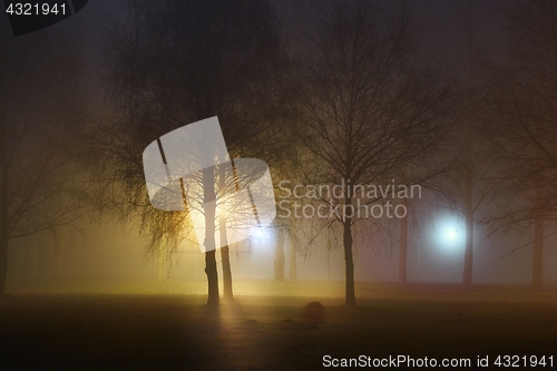 Image of Foggy Mysterious Night