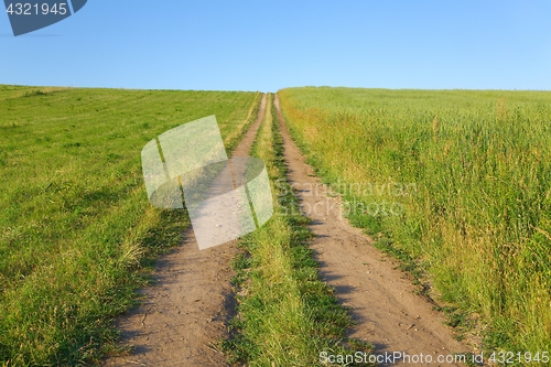 Image of Dirtroad through a field