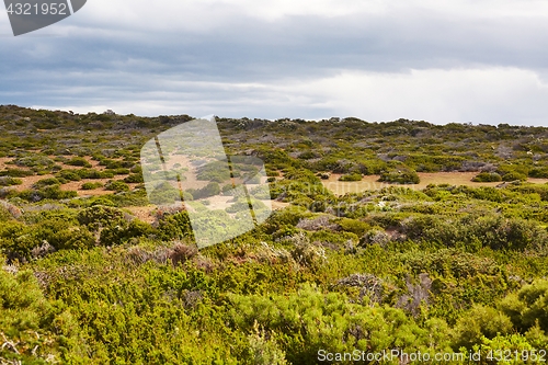 Image of Landscape in Tasmania