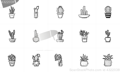 Image of House potted cactus and succulent sketch icon set.