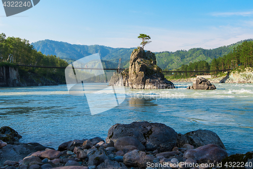 Image of Fast mountain river Katun