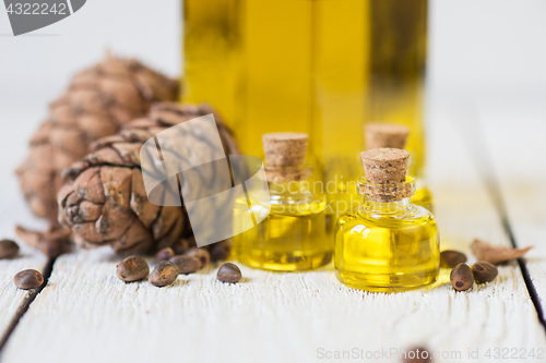 Image of Oil of cedar nuts