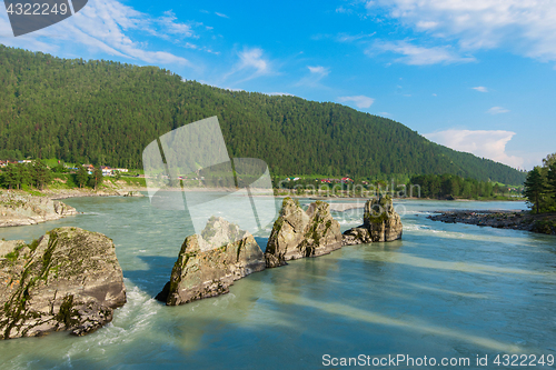 Image of Fast mountain river Katun
