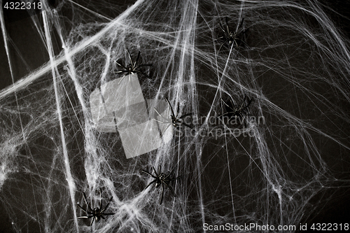 Image of halloween decoration of black toy spiders on web