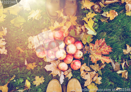 Image of feet in boots with apples and autumn leaves