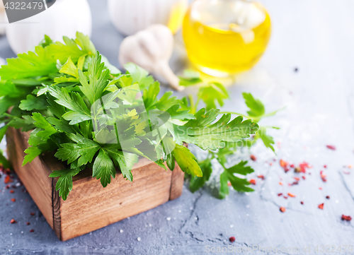 Image of fresh parsley