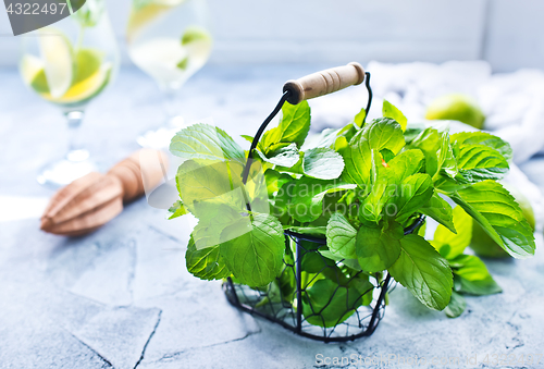 Image of ingredients for mojito