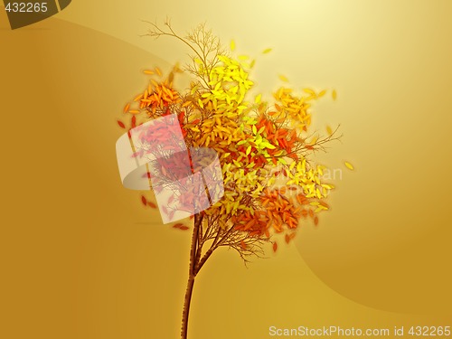 Image of Autumn tree