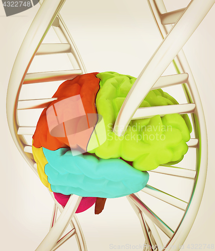 Image of Brain and dna. 3d illustration. Vintage style.