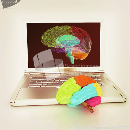 Image of creative three-dimensional model of real human brain and scan on