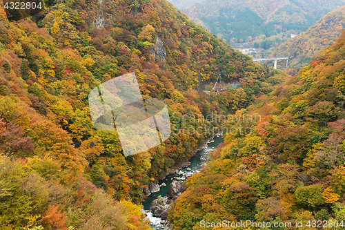 Image of Kinugawa in autumn