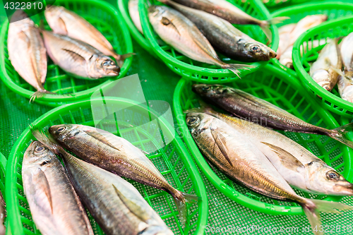 Image of Fish in basket