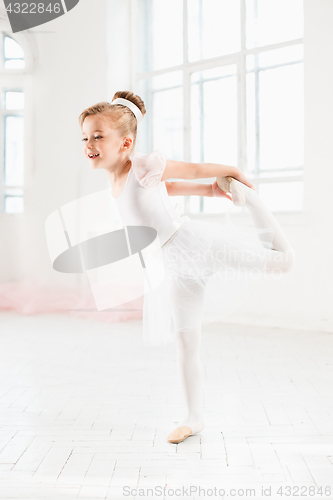 Image of Little ballerina girl in a tutu. Adorable child dancing classical ballet in a white studio.