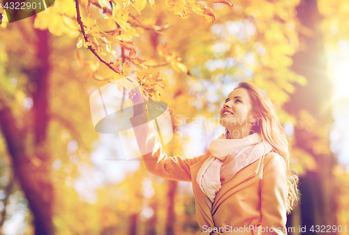 Image of beautiful happy young woman walking in autumn park