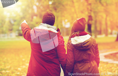 Image of happy young couple walking in autumn park