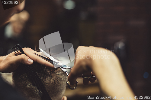 Image of Crop barber doing haircut for client