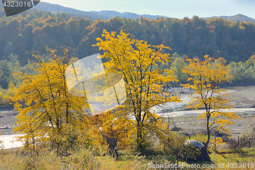 Image of Autumn foliage over river