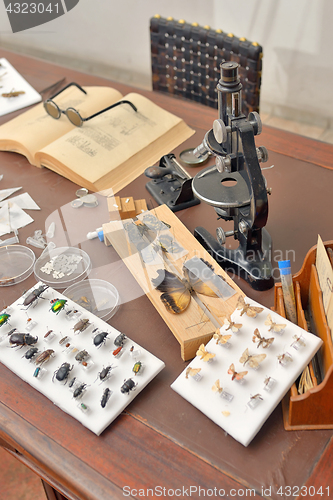 Image of Entomologist office with Tools 